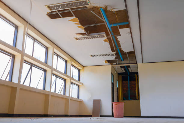 Best Water damage cleanup near me  in Blue Ridge, AL
