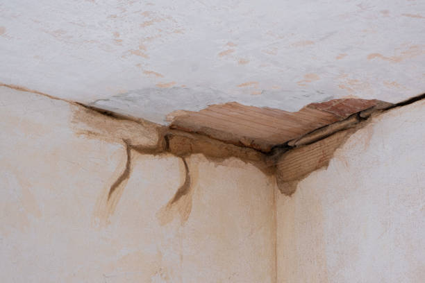 Best Flood damage cleanup  in Blue Ridge, AL