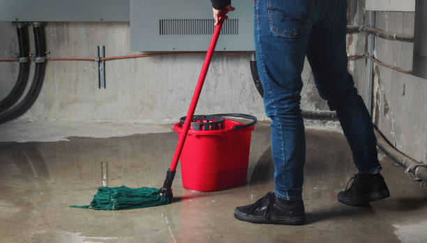Best 24/7 water damage repair  in Blue Ridge, AL