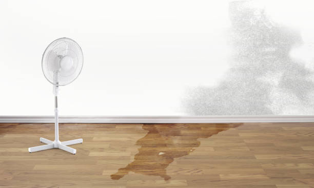 Best Emergency water damage restoration  in Blue Ridge, AL