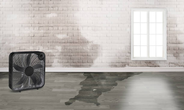 Best 24-hour water damage restoration  in Blue Ridge, AL