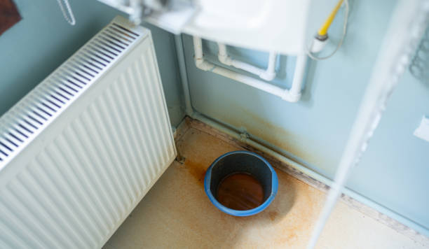 Best Local water damage restoration  in Blue Ridge, AL