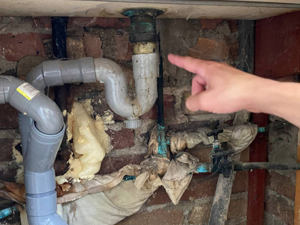 Best 24-hour water damage restoration  in Blue Ridge, AL