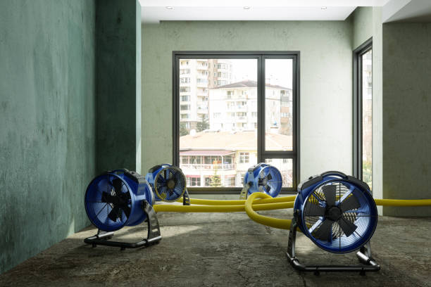 Best Sewage cleanup and water damage restoration  in Blue Ridge, AL