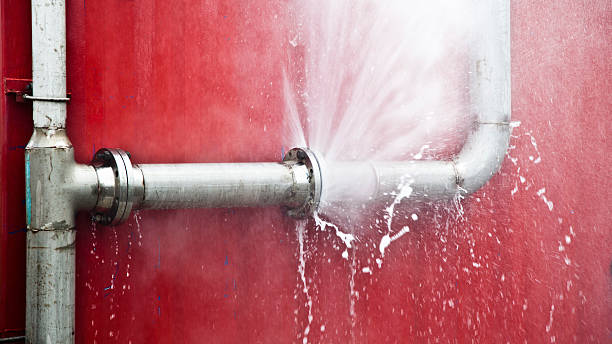 Best Water damage mitigation services  in Blue Ridge, AL